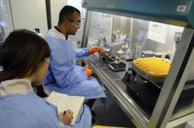 VIH : 100 volontaires recherchés pour tester un vaccin préventif